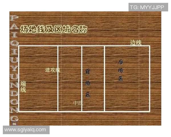 上海排球队进攻策略解析深度剖析排球战术与团队配合技巧
